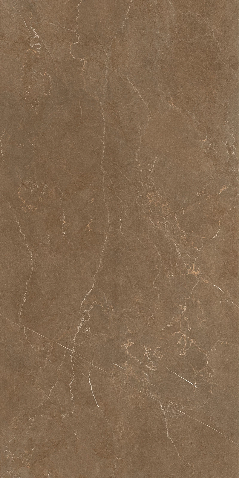 MAXIMA BROWN