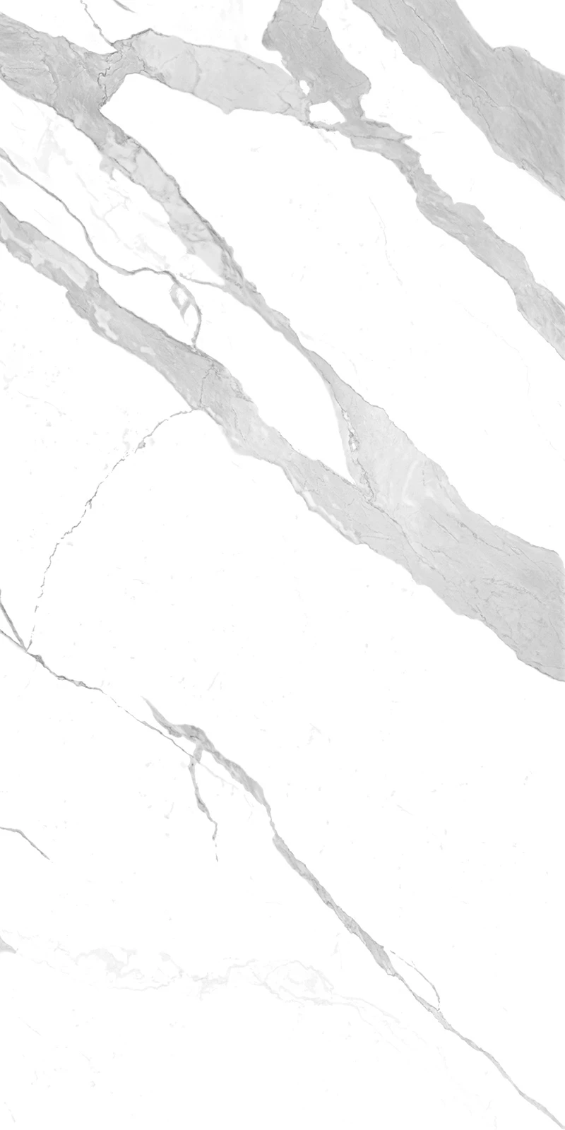 BIANCO STATUARIO VENATO