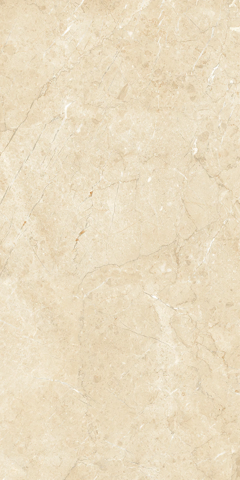 CRIST BEIGE