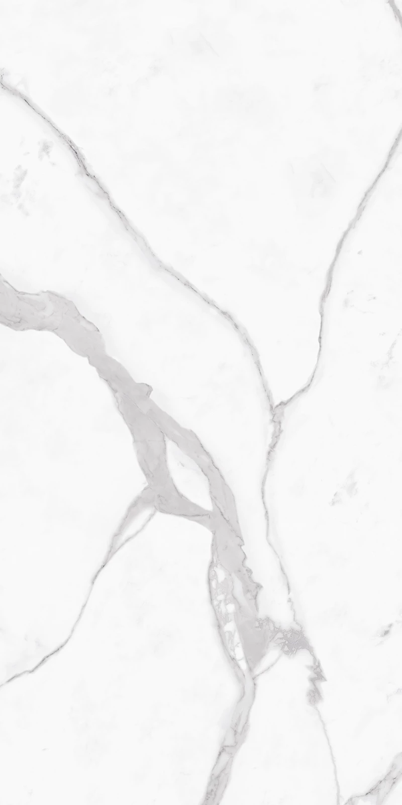 STATUARIO GREY