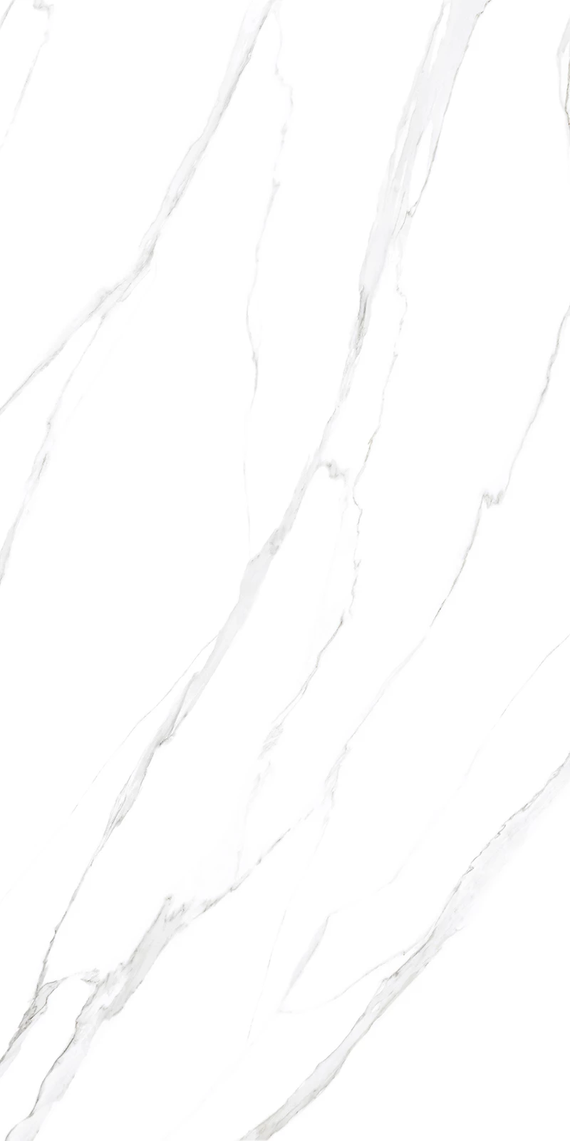 STATUARIO PEARL
