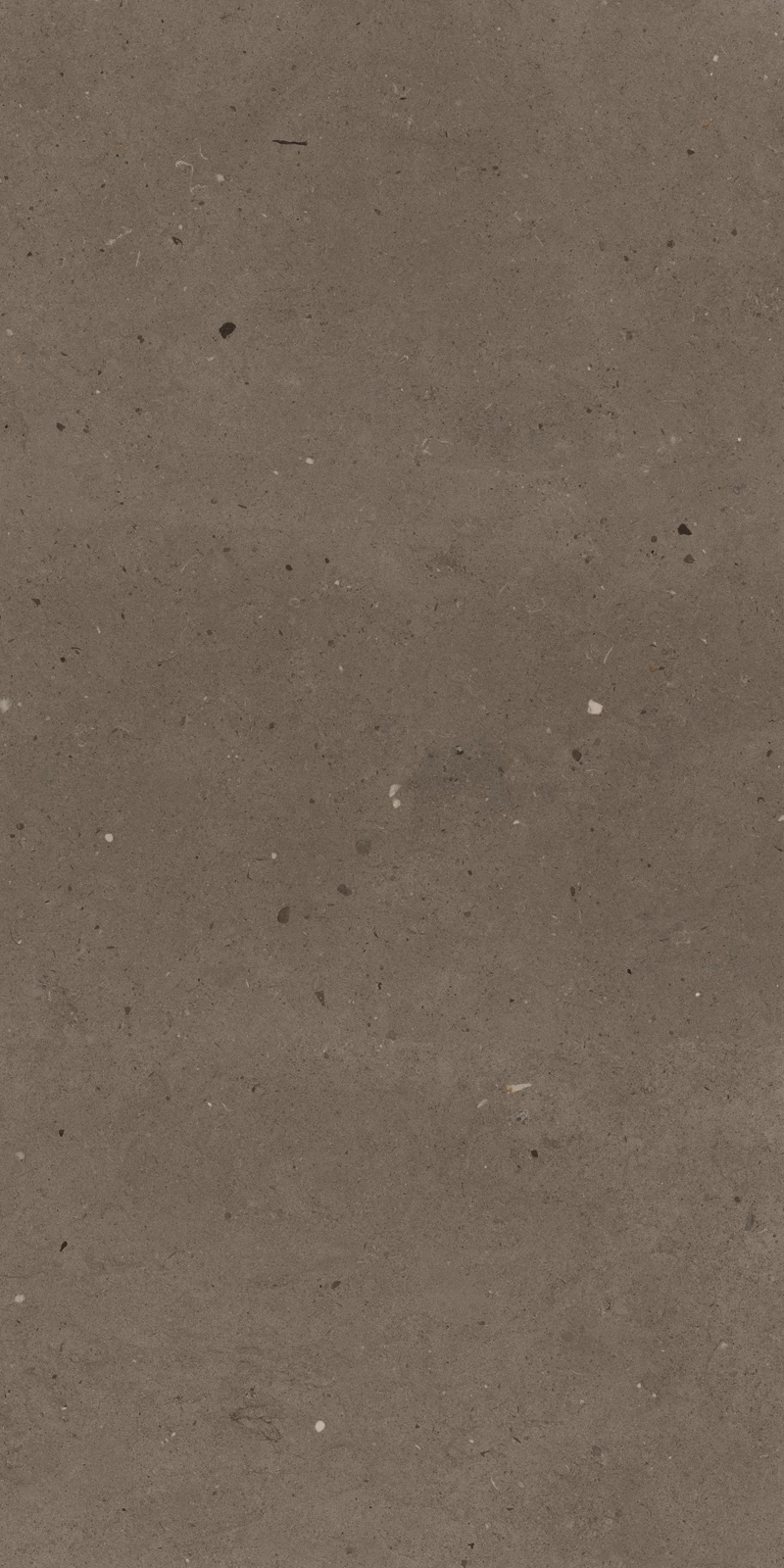 EMERALD TAUPE