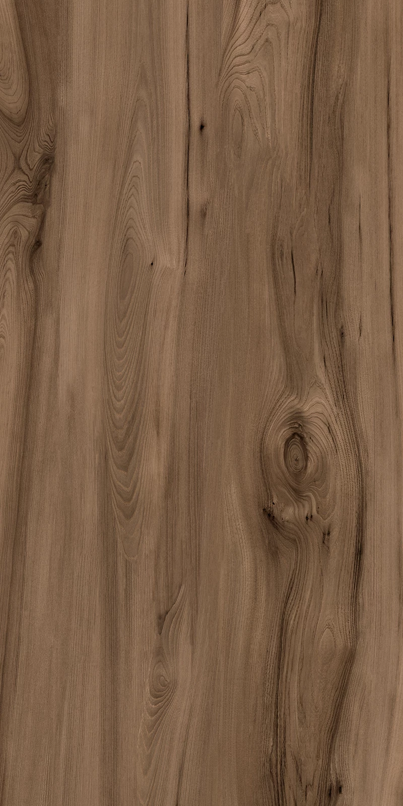 POPLAR BROWN