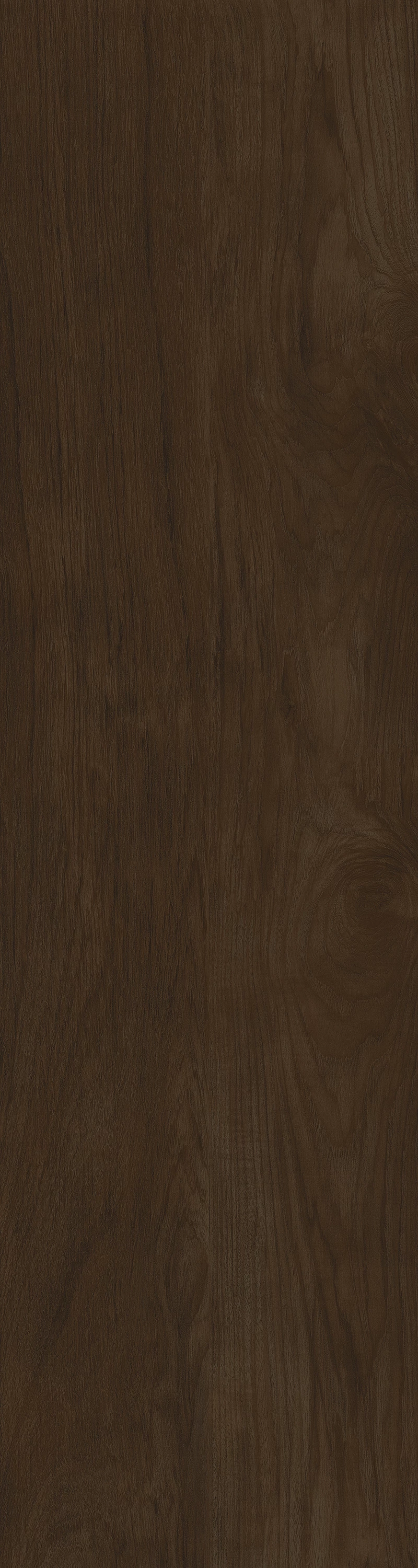 COCOA VENEER