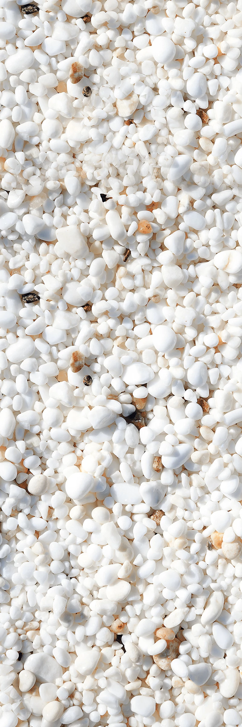 PEBBLE WHITE