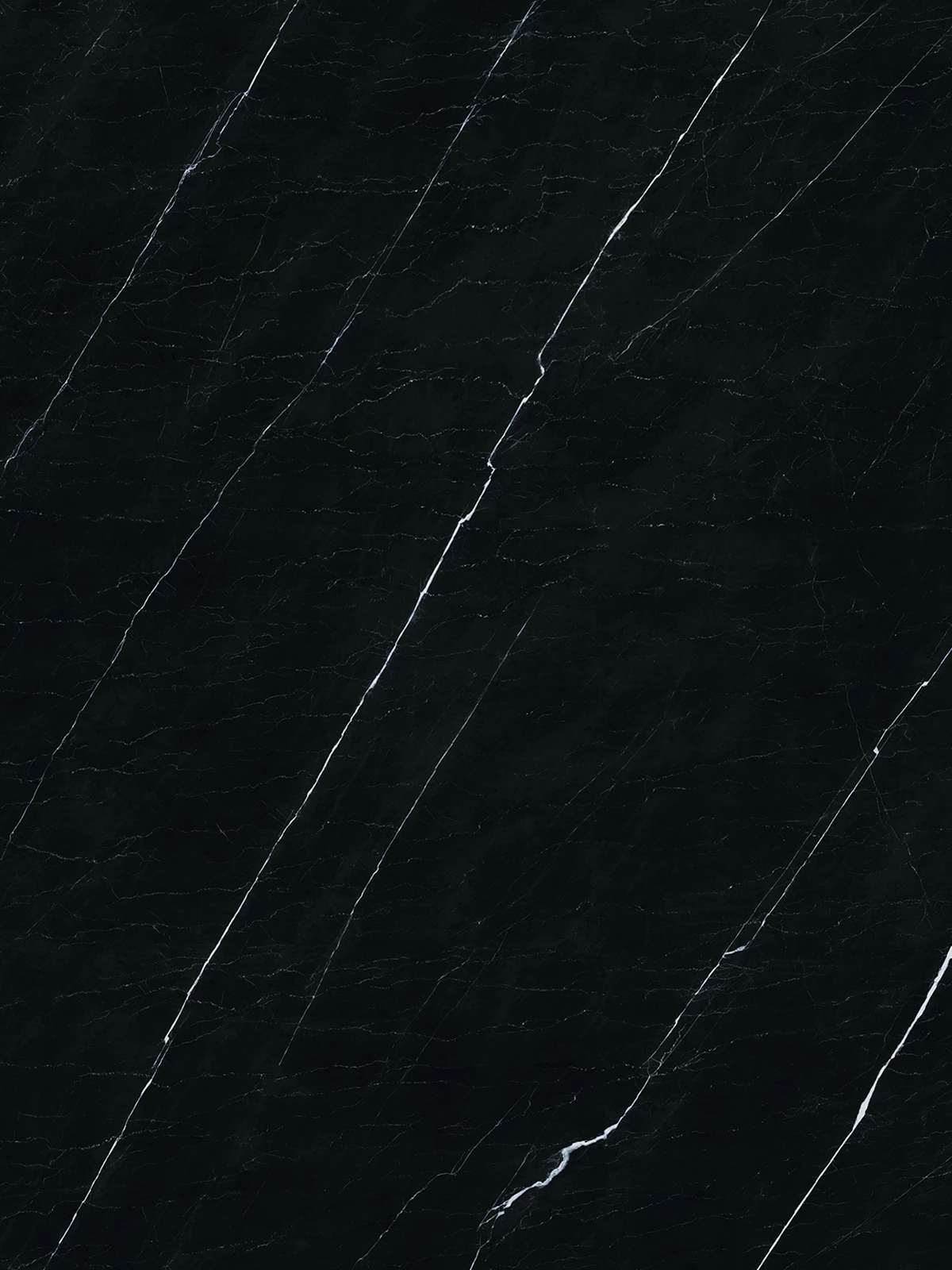 OPERA BLACK