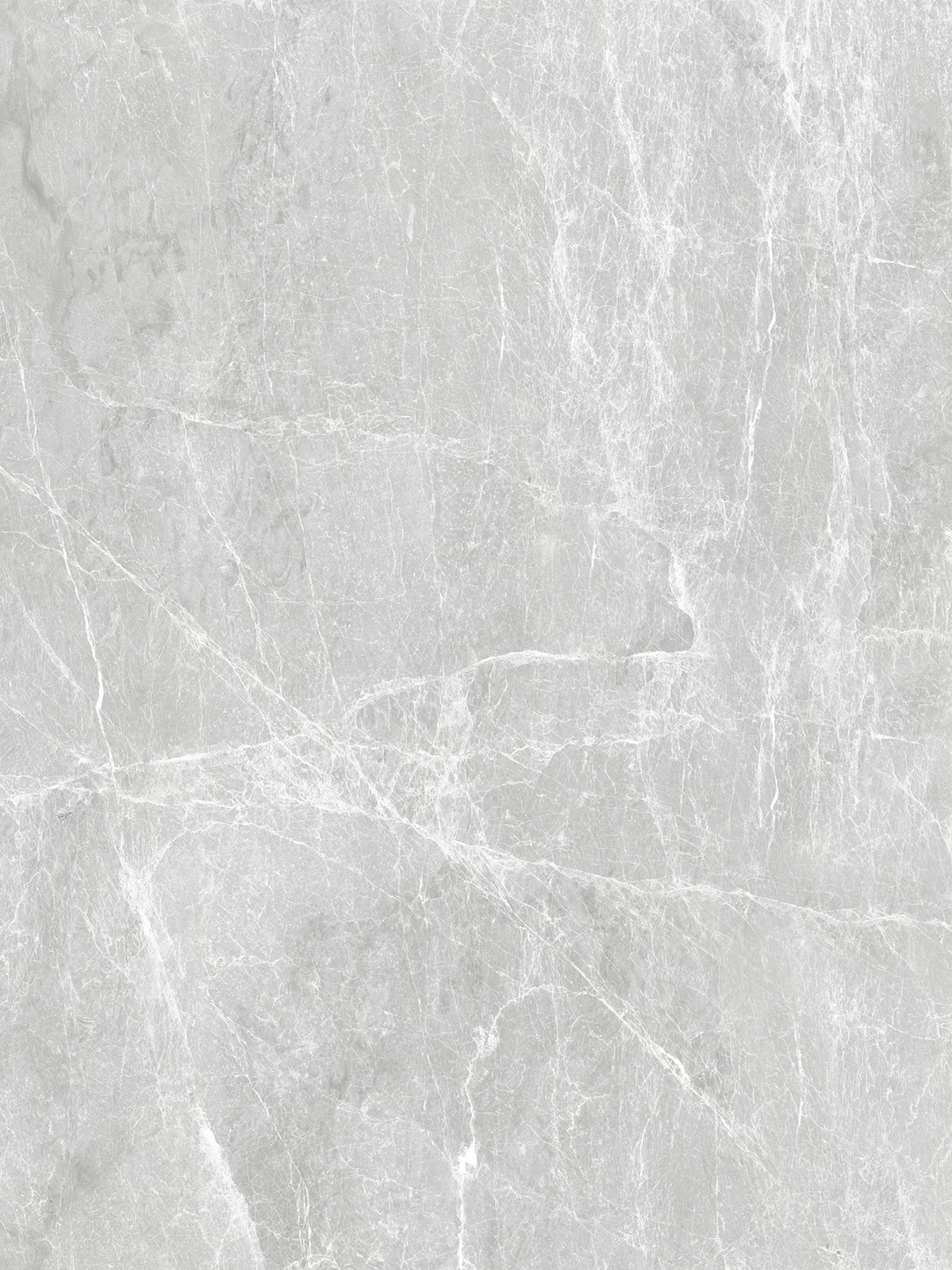 SPIDER GREY