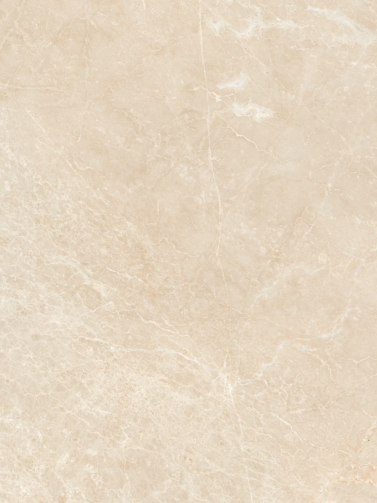 MARCELLO BEIGE