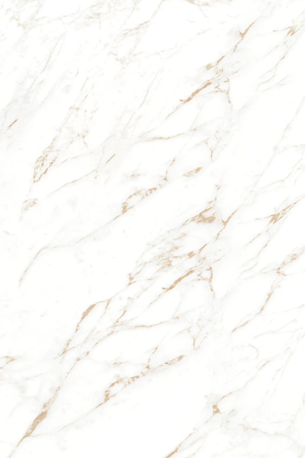 CARRARA GOLD