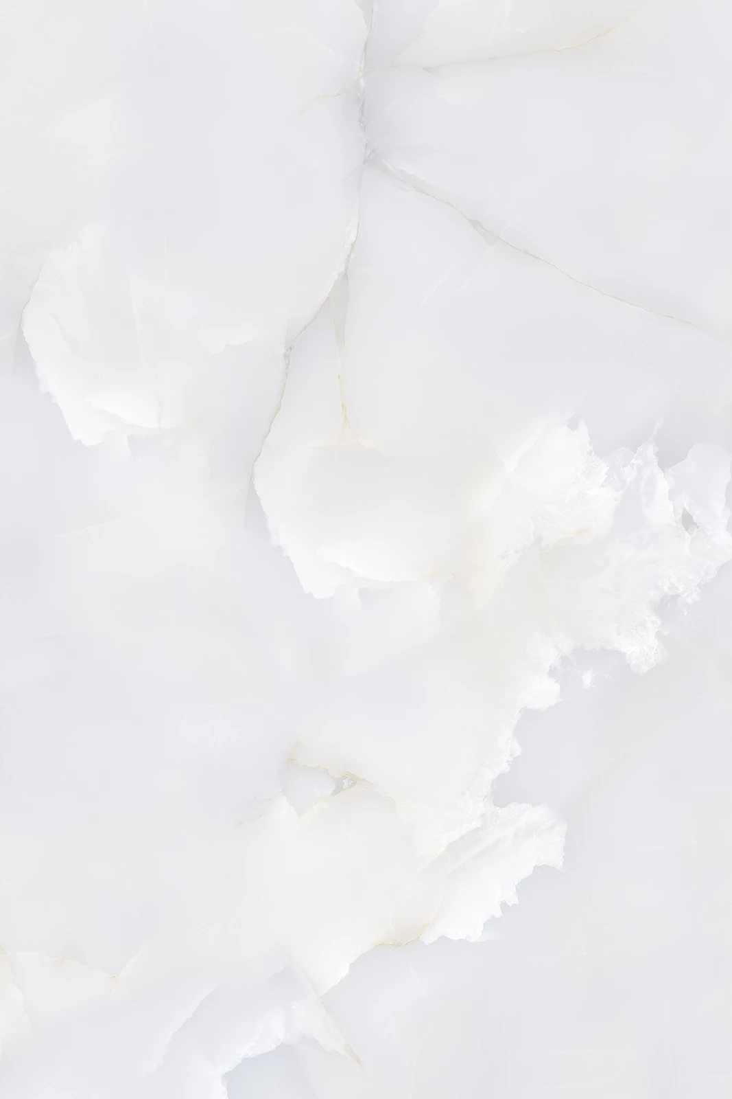 FANTASIA ONYX