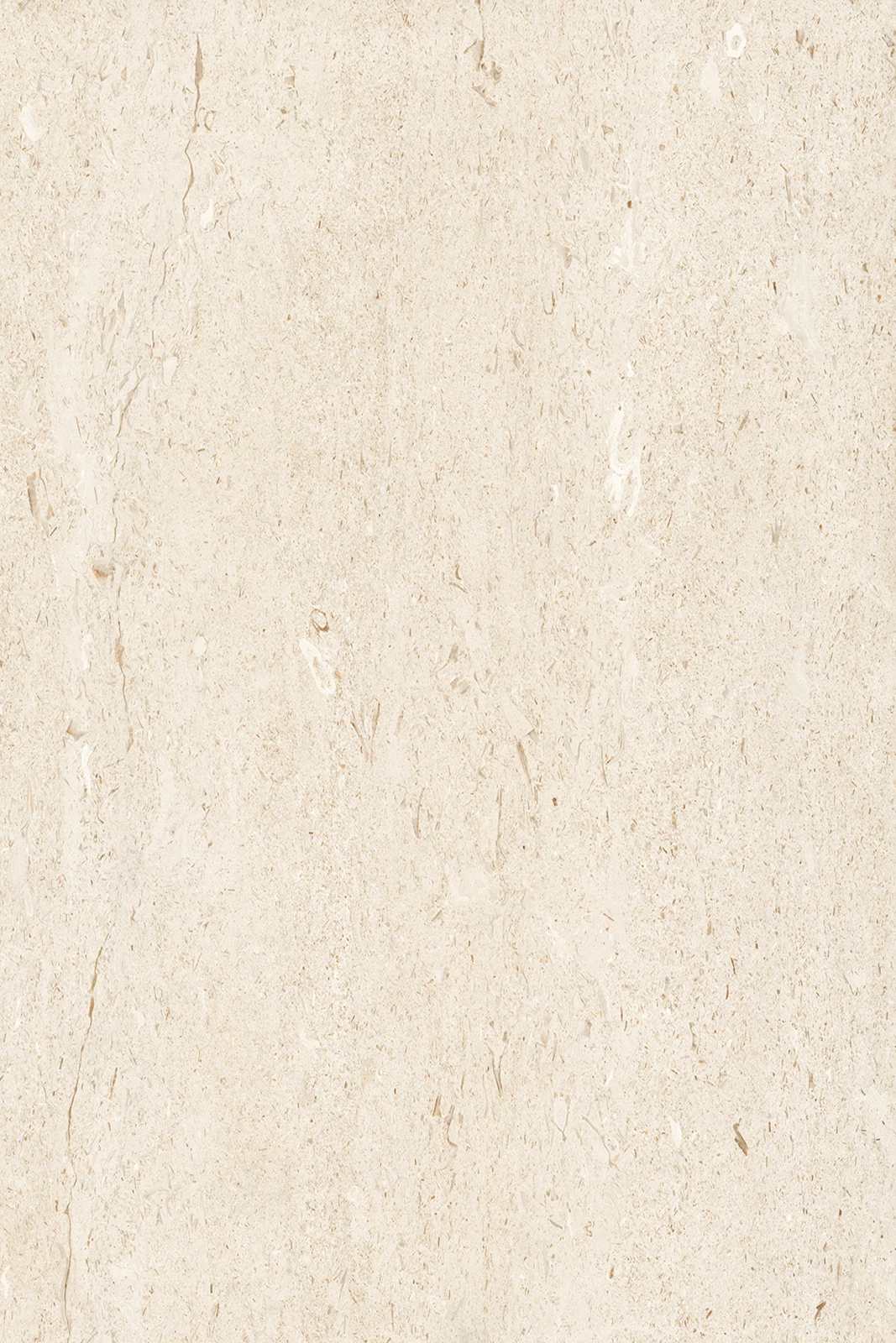 ICONIC IVORY
