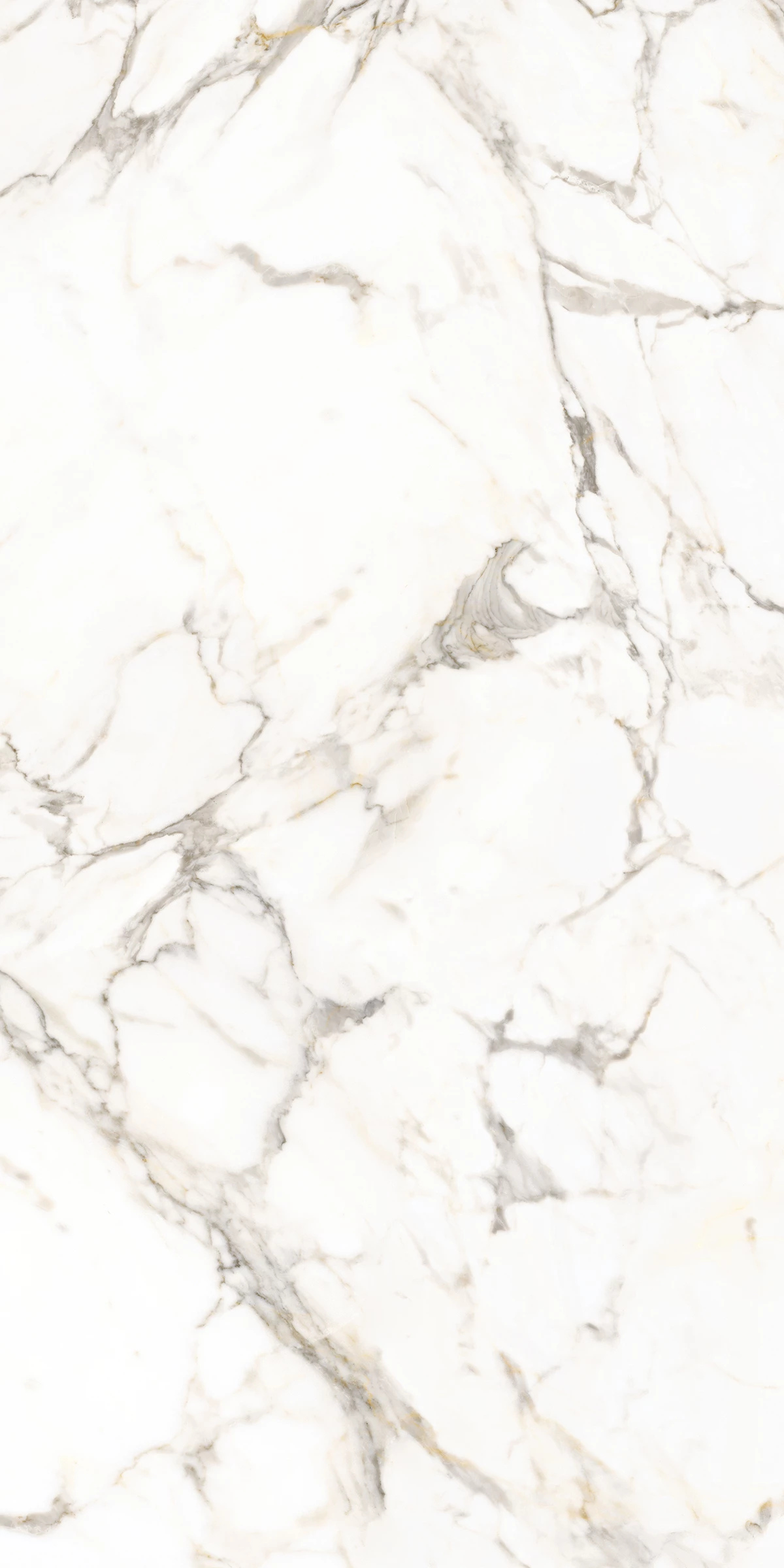 BIANCO CARRARA
