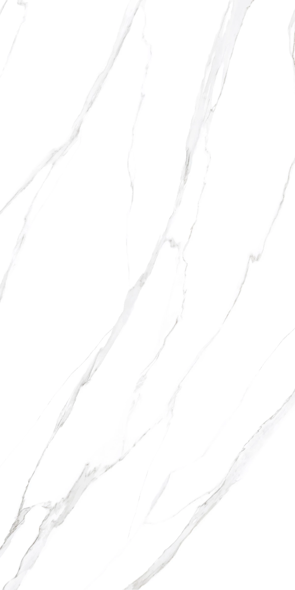 SATUARIO PEARL