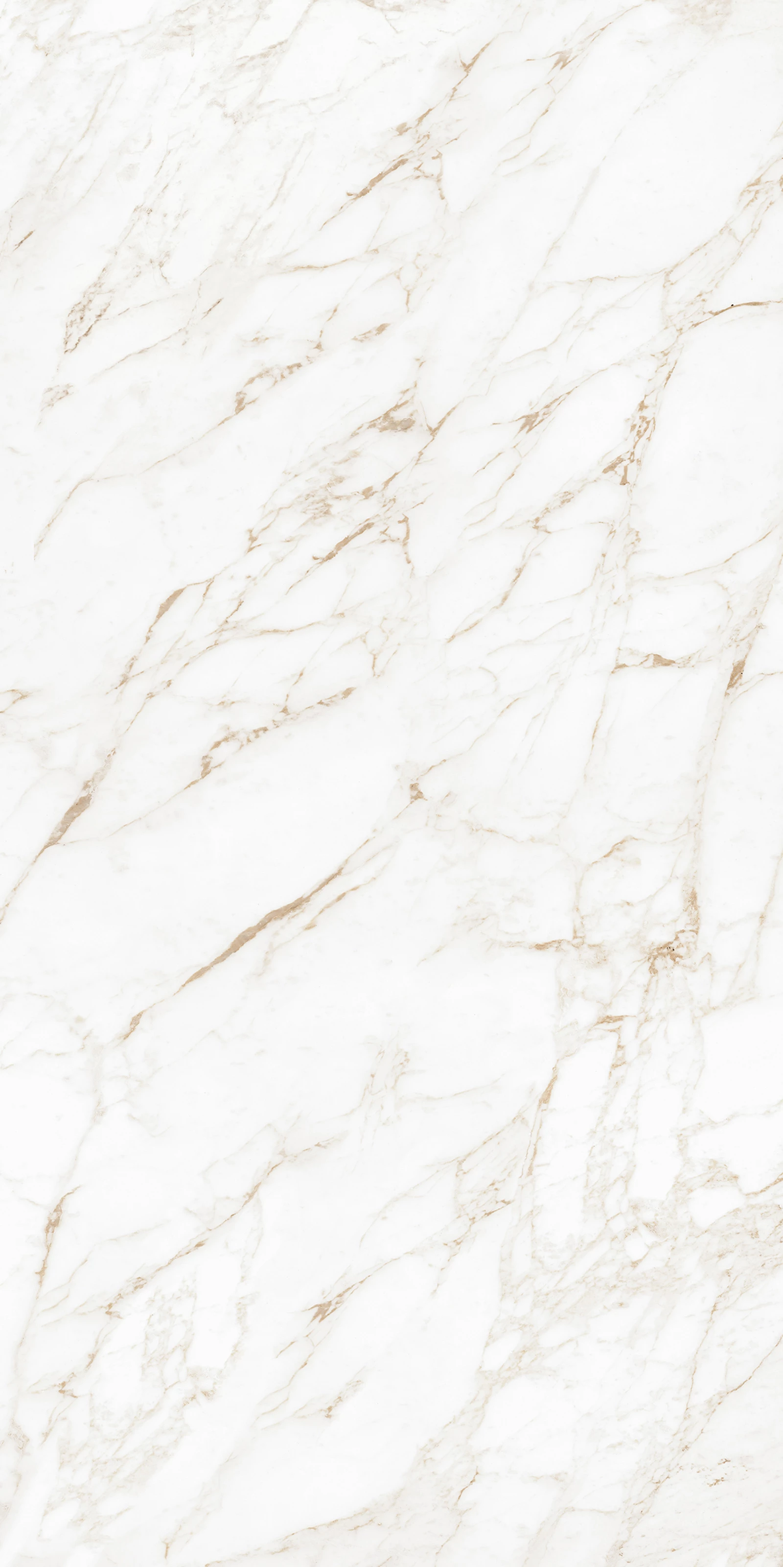 CARRARA GOLD