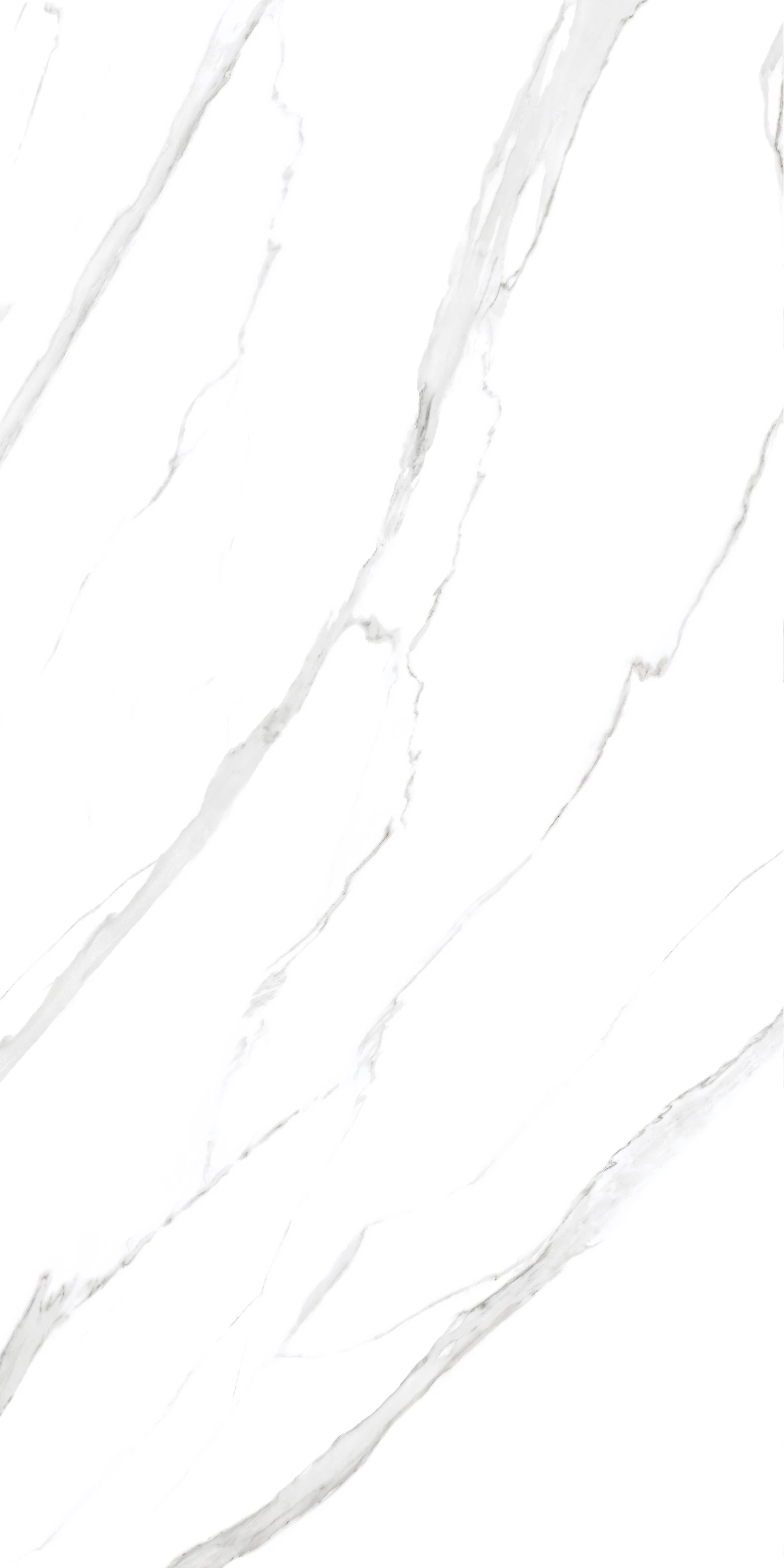 STATUARIO PEARL